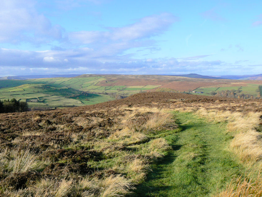 Abney Moor Abney Moor